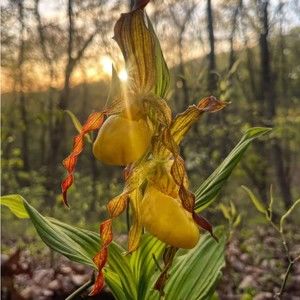 Meet your Posher, Mimi